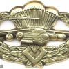 UKRAINE ''Desant'' parachutist badge img4495