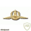 ימ"מ- יחידה משטרתית מיוחדת זהב img4517