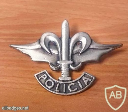 Equatorial Guinea police badge img4554