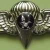Paratrooper insignia