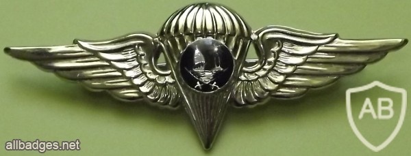 Paratrooper insignia img4658