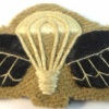 Ghana paratrooper wings img4692