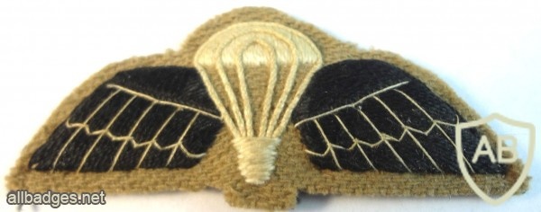 Ghana paratrooper wings img4692