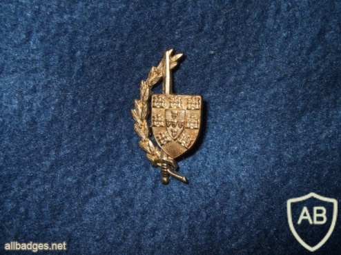 Portuguese Comandos beret badge img4802