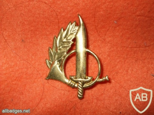 Portuguese Special Operations "Rangers" beret badge img4803