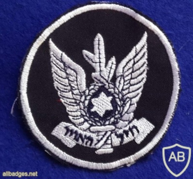סמל חיל האוויר img4881