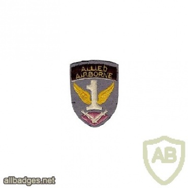 First Allied Airborne Army img4973