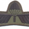 NETHERLANDS Army M93 Parachutist B Brevet (Basic) wings, subdued img5301
