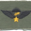 SOUTH VIETNAM Airborne Parachutist qualification wings, Master, cloth