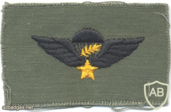 SOUTH VIETNAM Airborne Parachutist qualification wings, Master, cloth img5297