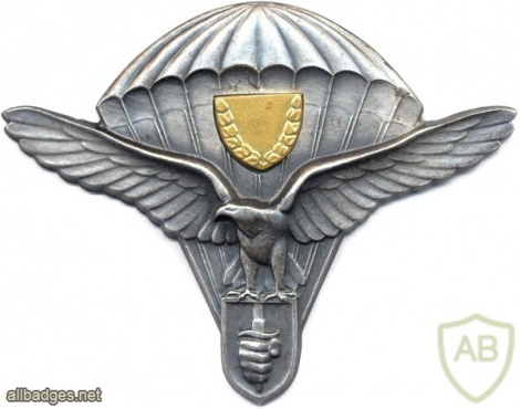 SLOVAK REPUBLIC Army (Special Forces) Parachutist wings, Class 4 img5318