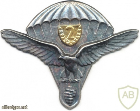 SLOVAK REPUBLIC Army (Special Forces) Parachutist wings, Class 2 img5320