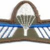 NETHERLANDS Marine Corps Parachutist B Brevet (Basic) wings, full color