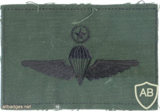 MALAYSIA Airborne Parachutist qualification wings, Freefall HALO, cloth img5288