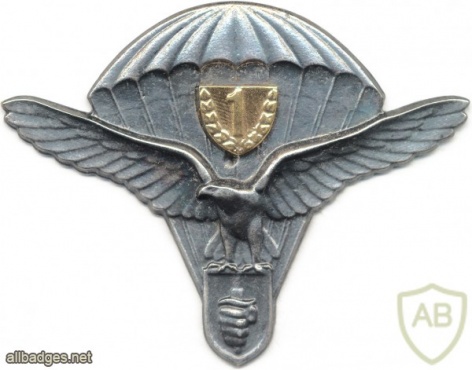 SLOVAK REPUBLIC Army (Special Forces) Parachutist wings, Class 1 img5321