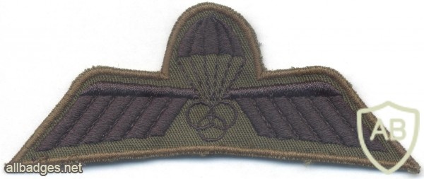 NETHERLANDS Army M93 Parachute Dispatcher/ Instructor wings, subdued img5302