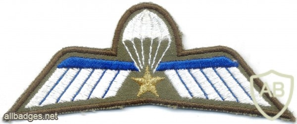 NETHERLANDS Marine Corps Parachutist A Brevet (Operational) wings, full color img5303
