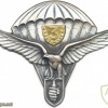 SLOVAK REPUBLIC Army (Special Forces) Parachutist wings, Class 3
