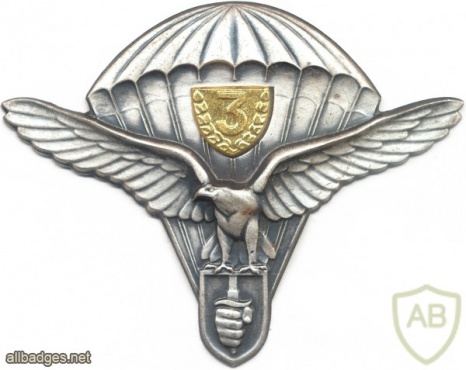 SLOVAK REPUBLIC Army (Special Forces) Parachutist wings, Class 3 img5319