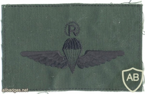 MALAYSIA Parachutist qualification wings, Rigger, cloth img5289