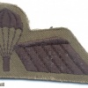 NETHERLANDS Airborne Parachutist B Brevet wing, subdued