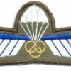 NETHERLANDS Marine Corps Parachute Dispatcher/ Instructor wings, full color