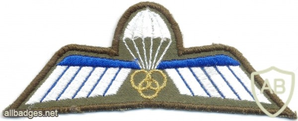 NETHERLANDS Marine Corps Parachute Dispatcher/ Instructor wings, full color img5305