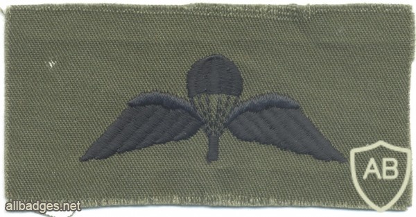 GERMANY Airborne Parachutist wings for British qualified personnel, subdued img5299
