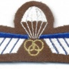 NETHERLANDS Airborne Parachute Dispatcher/ Instructor wings, full color on brown wool img5306
