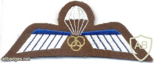 NETHERLANDS Airborne Parachute Dispatcher/ Instructor wings, full color on brown wool img5306