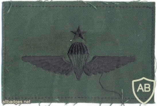 MALAYSIA Airborne Parachutist qualification wings, Senior, cloth img5286