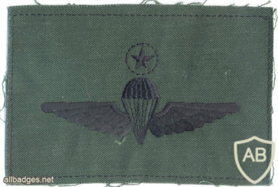 MALAYSIA Airborne Parachutist qualification wings, Master, cloth img5287