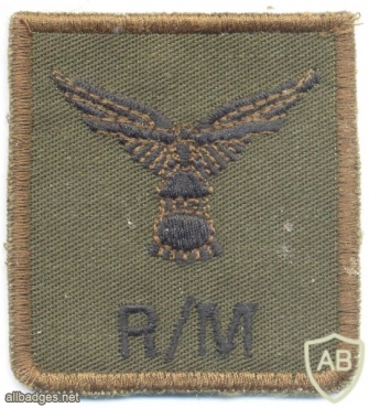NETHERLANDS Air Assault Brigade Rigger Parachutist patch, subdued img5307