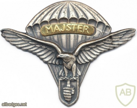 SLOVAK REPUBLIC Army (Special Forces) Parachutist wings, Master img5316