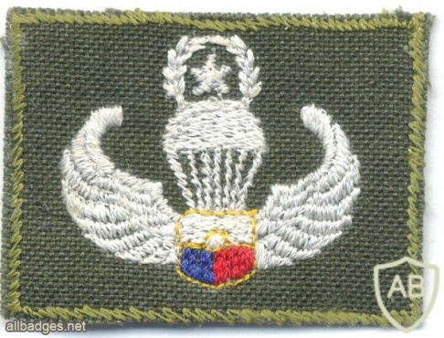 PHILIPPINES Army Parachutist jump wings, Master img5292