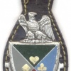 FRANCE 14rd Command and Support Regiment pocket badge