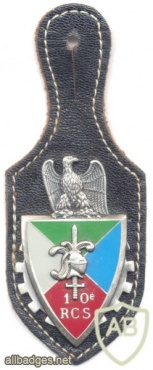 FRANCE 10th Command and Support Regiment pocket badge img5348