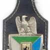 FRANCE 5th Command and Support Regiment pocket badge