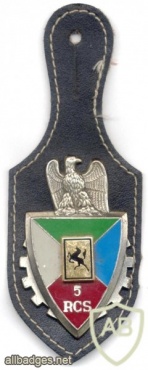 FRANCE 5th Command and Support Regiment pocket badge img5346