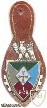 FRANCE 1st Command and Support Regiment pocket badge img5344