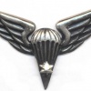 LITHUANIA Parachutist wings, 1998-now, 4th Class