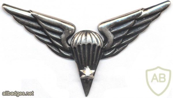 LITHUANIA Parachutist wings, 1998-now, 4th Class img5397