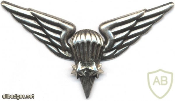 LITHUANIA Parachutist wings, 1998-now, 3rd Class img5398