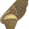LATVIA National Guard (Zemessardze) 1st class Parachute Wing