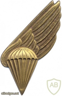 LATVIA National Guard (Zemessardze) 1st class Parachute Wing img5403