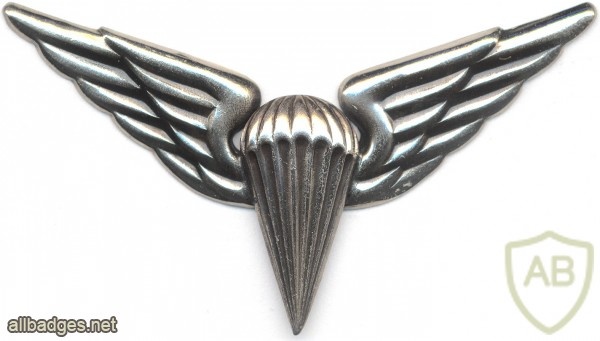 LITHUANIA Parachutist wings, 1998-now, 5th Class img5396