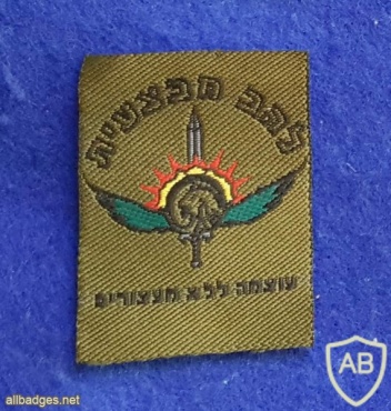 להב מבצעית ( חטיבת כפיר - גדוד לביא ) img5390