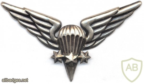 LITHUANIA Parachutist wings, 1998-now, 2nd Class img5399