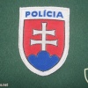 Slovakian Police