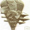 BELARUS 103rd Independant Guards Airborne Brigade badge